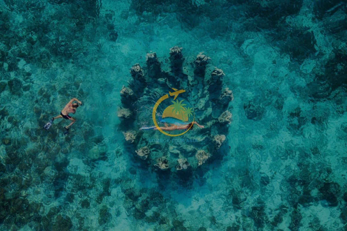 North Gili Tour