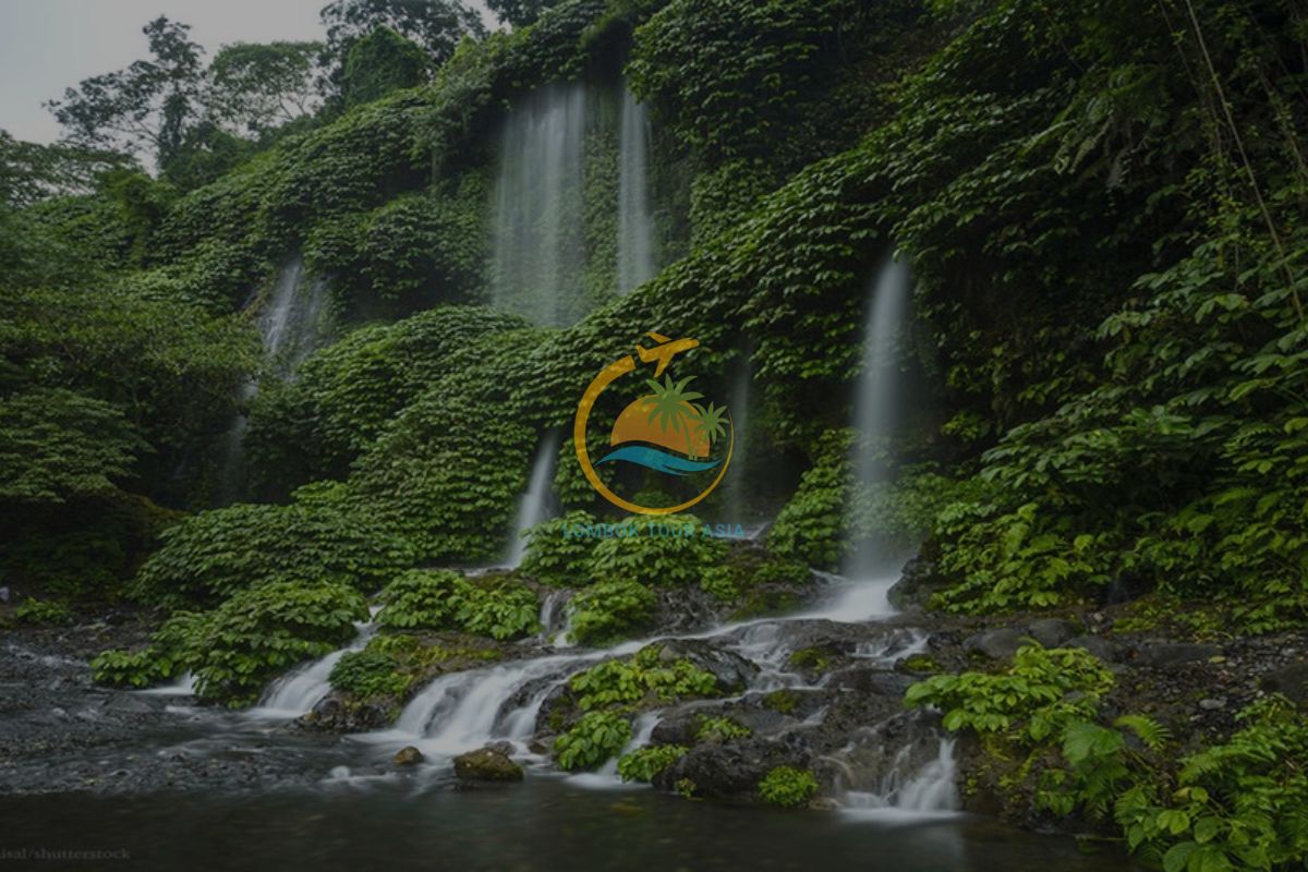 Waterfall Tour