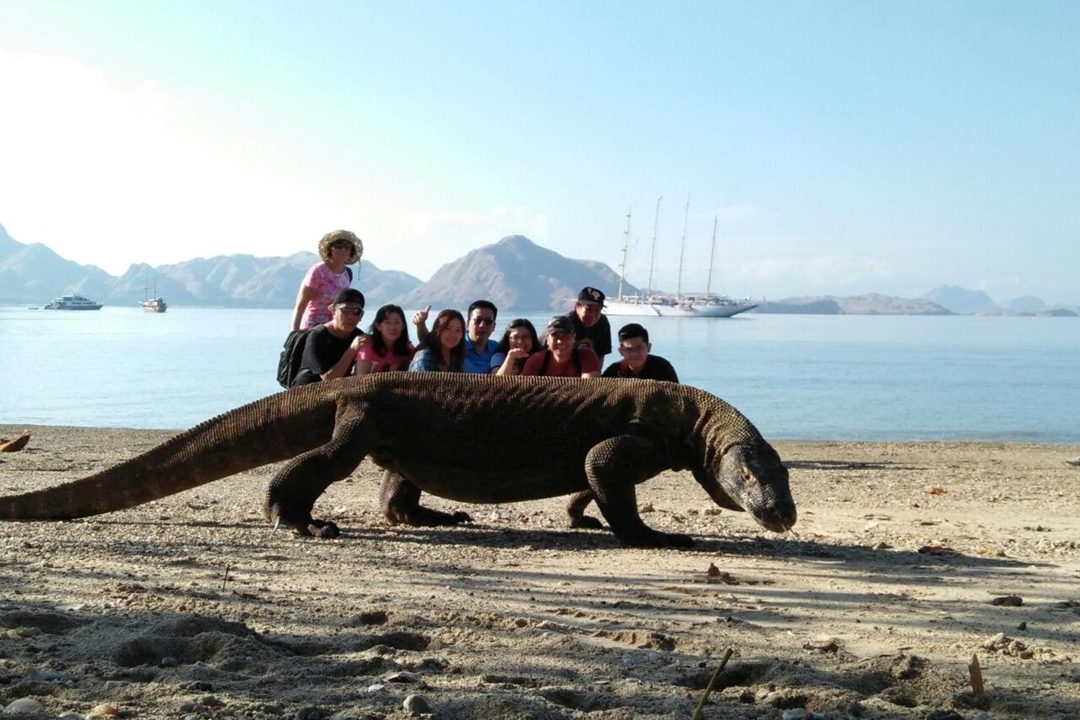 trip-komodo4